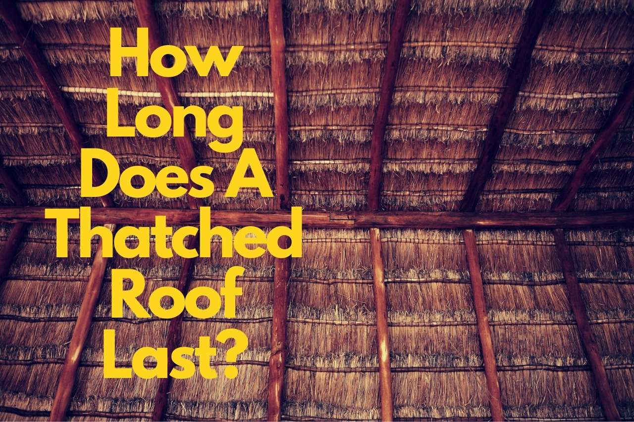 You are currently viewing How Long Does A Thatched Roof Last – Factors That Come Into Play