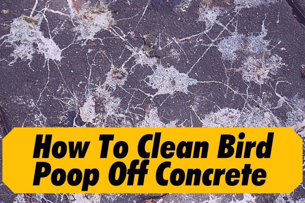 How To Clean Bird Poop Off Concrete