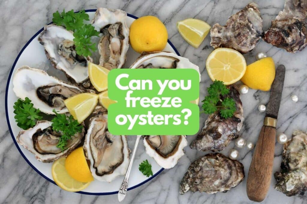 Can you freeze oysters?