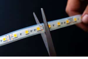 Read more about the article Can You Cut Govee Led Lights? – Guide