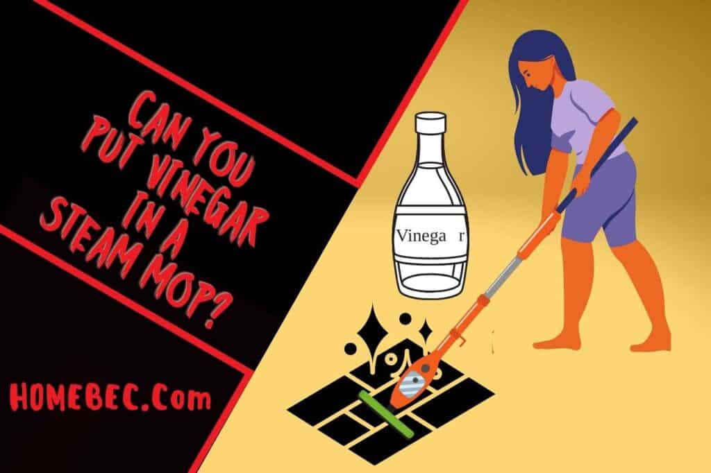 can you put vinegar in a steam mop