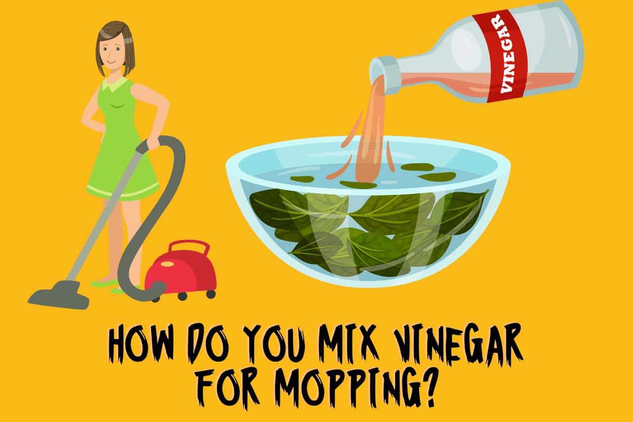 How Do you Mix Vinegar for Mopping