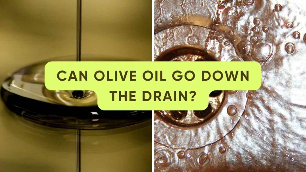 can olive oil go down the drain