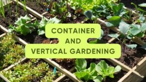 Organic Gardening Tips