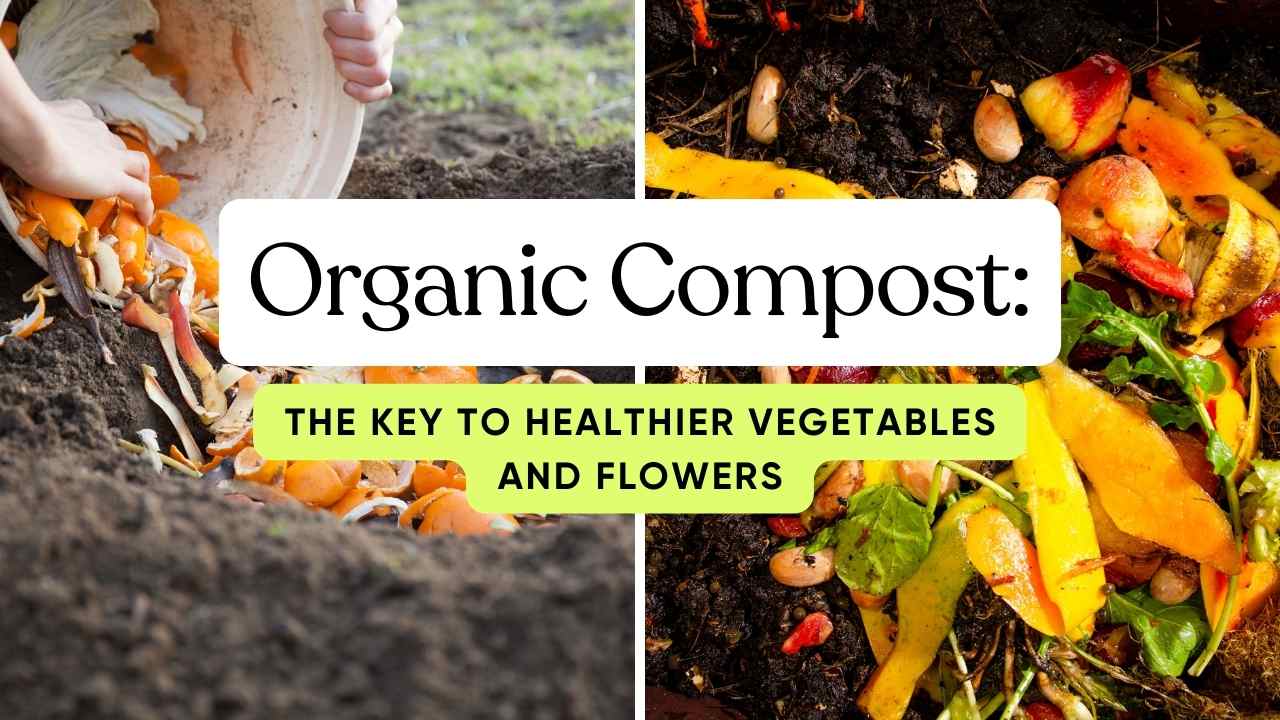 Organic Compost The Key to Healthier Vegetables and Flowers Homebec