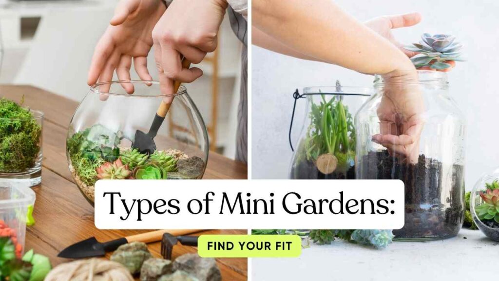 Mini Gardening