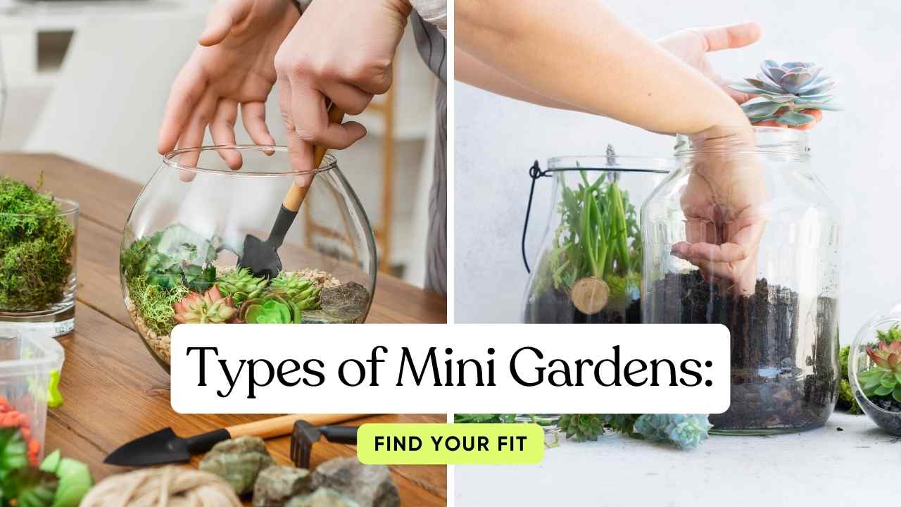 Beyond the Bloom: Discover the Delights of Mini Gardening - Homebec