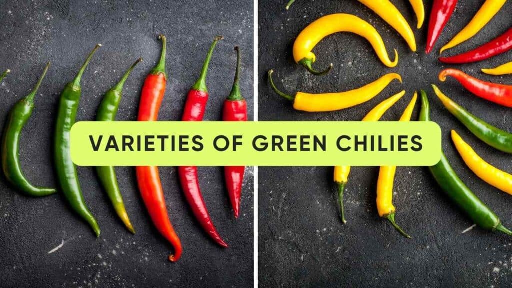 what are green chilies