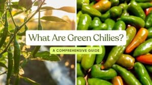 What Are Green Chilies